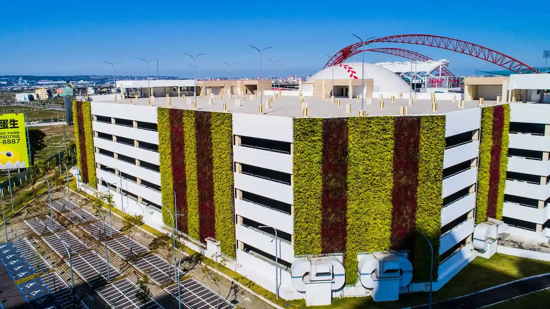 a natureza é o futuro - vamos mergulhar na floresta