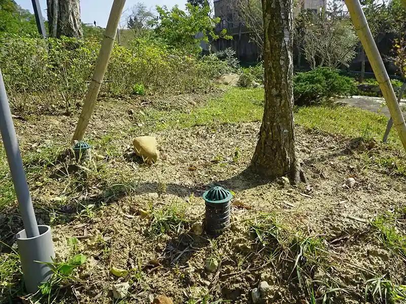 irrigatiebuizen voor boomwortels