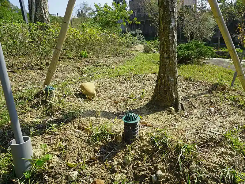 木の根の灌漑パイプ