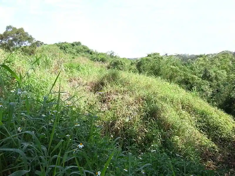 植生網