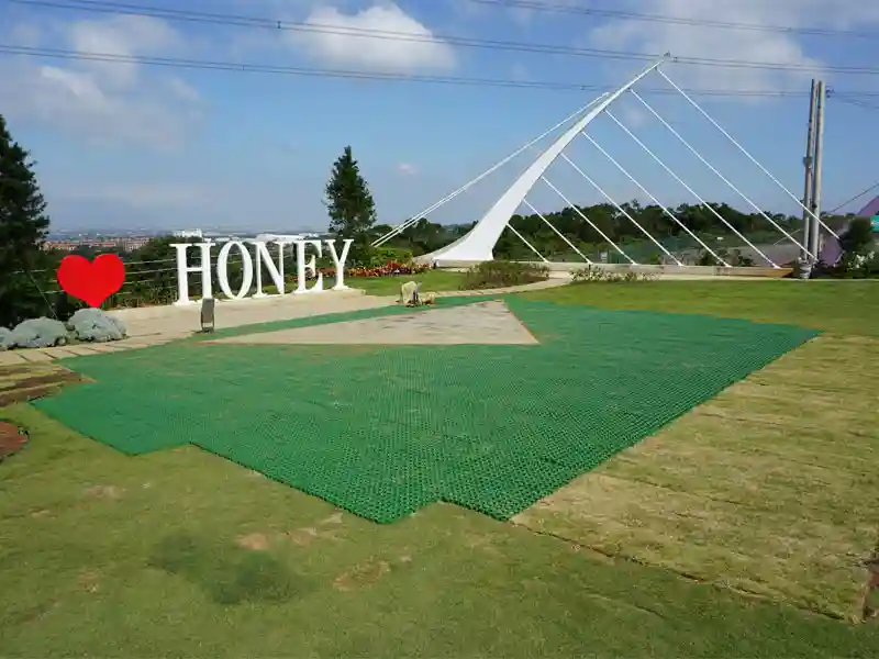 庭の芝生プロテクター