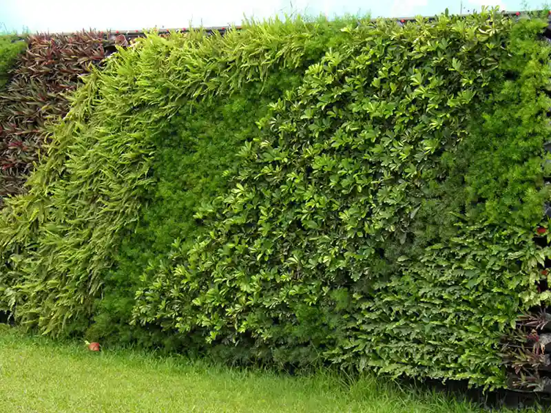 via hangmanden, fabrikanten van plastic tuinpotten