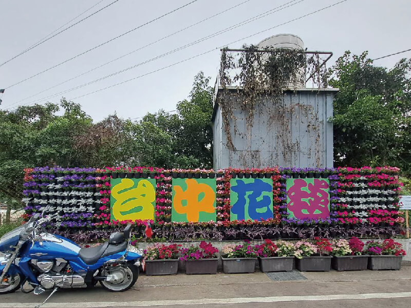 新社花毯節