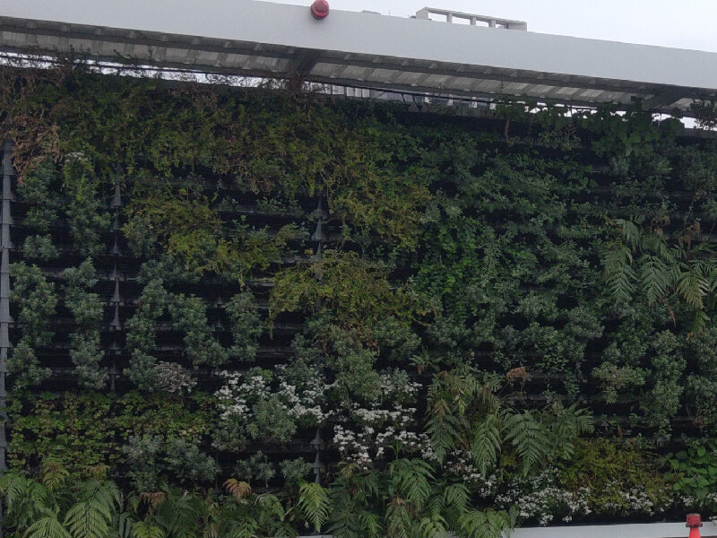 富果香-上境建設