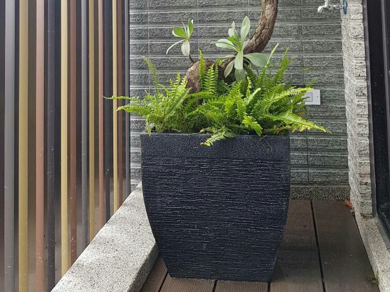 繽紛美羽盆