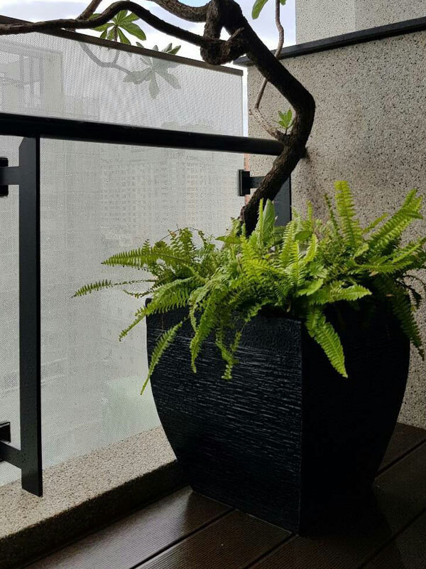 繽紛美羽盆