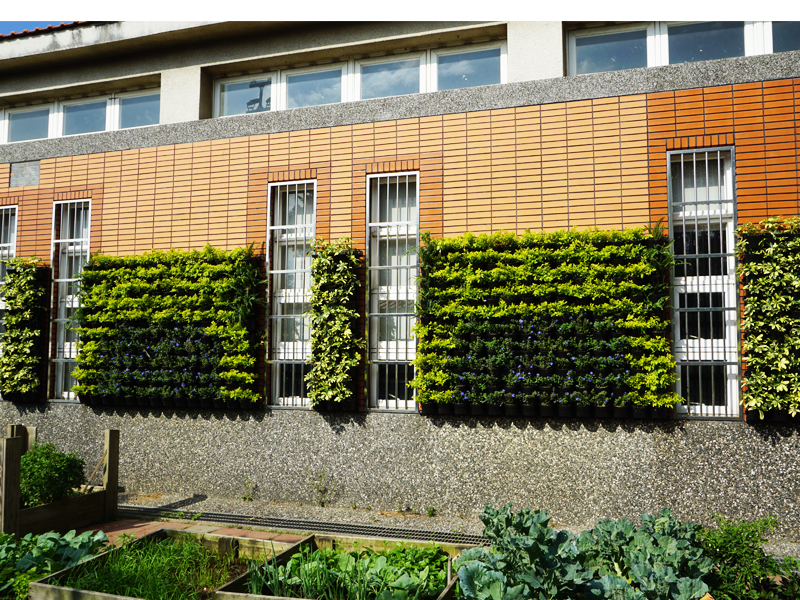 新竹育英社區發展協會