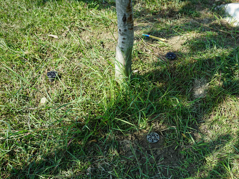 台南公園