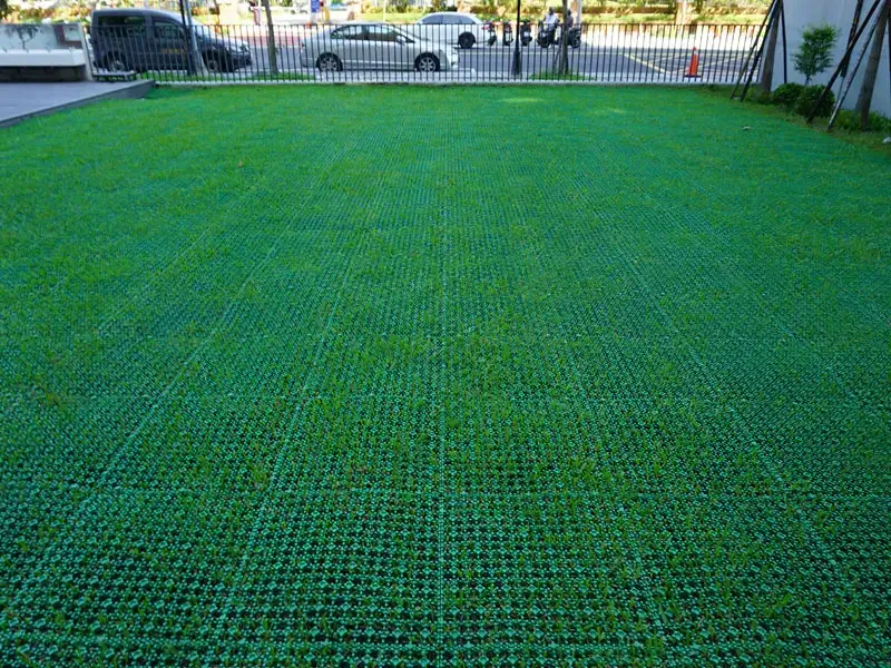 三重幼兒園