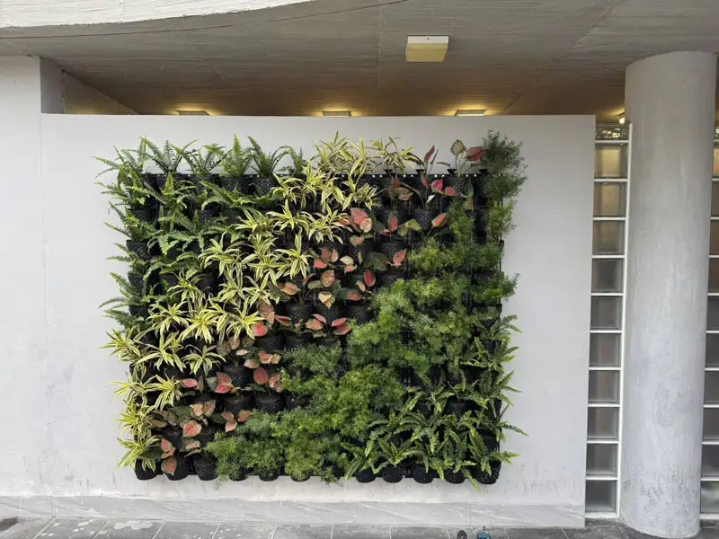 5孔支架空氣斷根盆