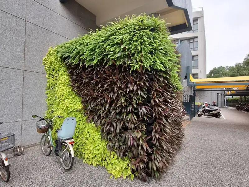 5孔支架土耕盆_5孔土耕