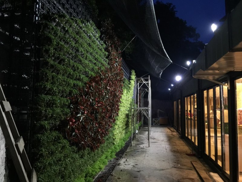 Galeria-37