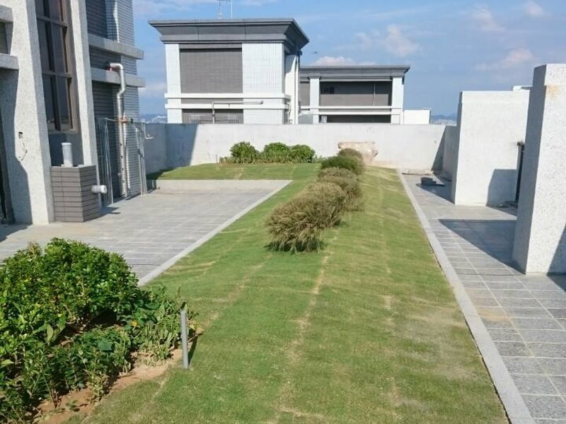 Green-Roof-4