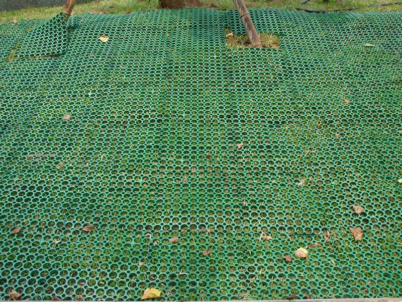 Rasenschutz-PVC