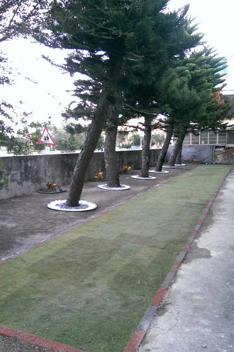 Pavé d'herbe en plastique