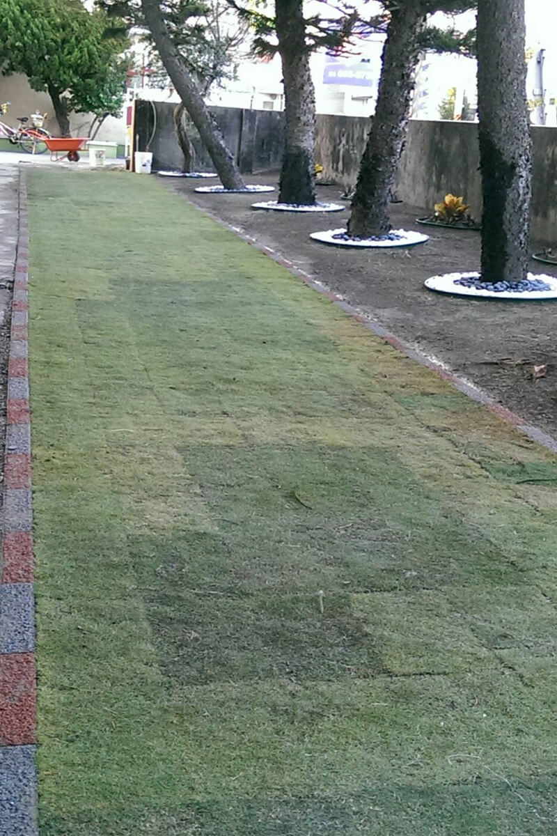 Pavé d'herbe en plastique
