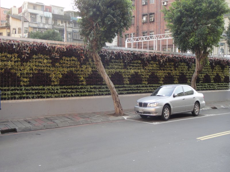 Colgando-29