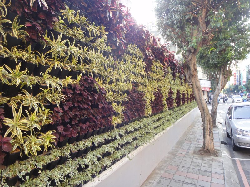 Colgando-29
