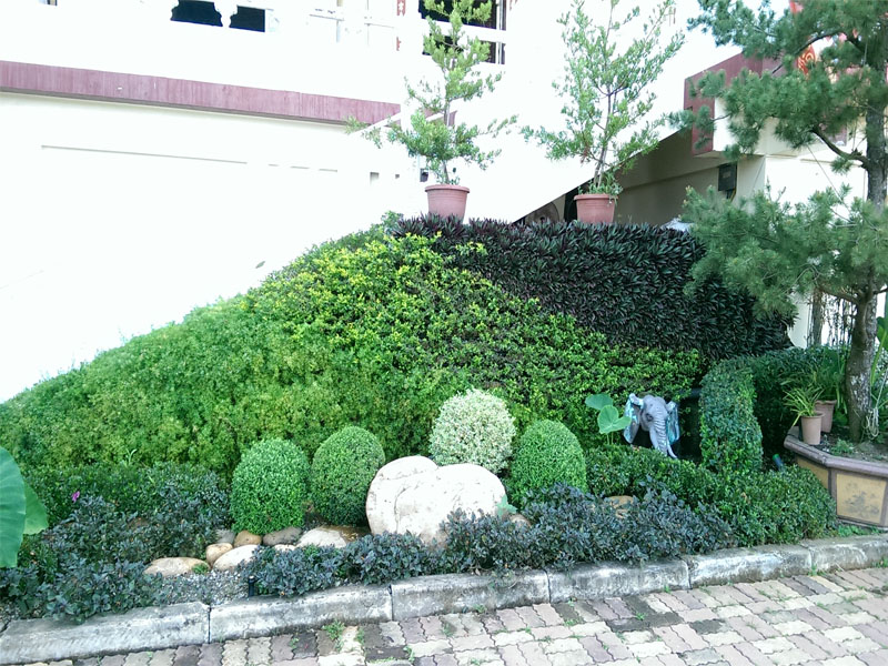 Pendurado Longo-11
