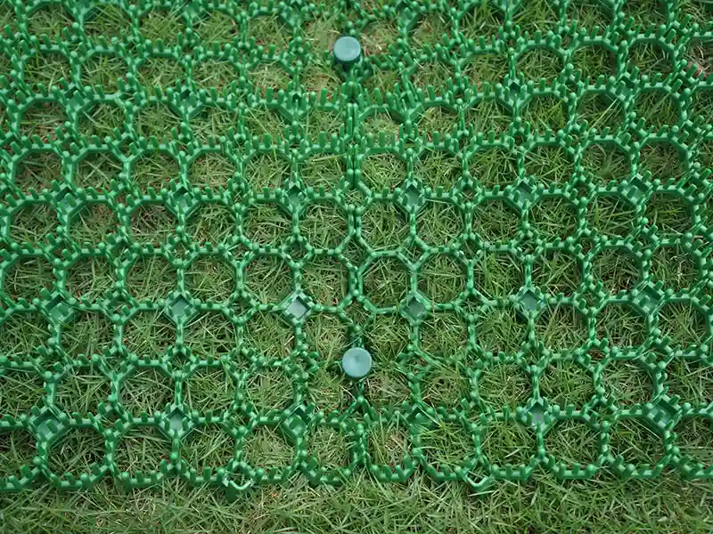 plastic spikes for lawn edging